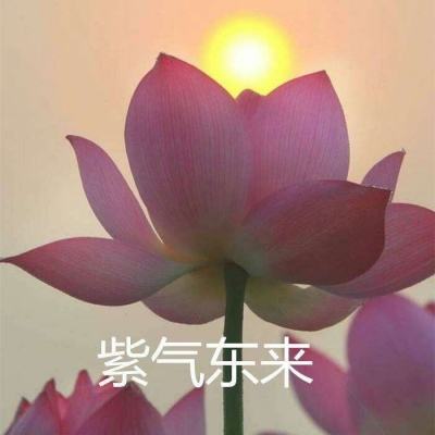 英雄耍大牌果盘版下载